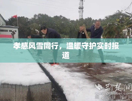 孝感风雪同行，温暖守护实时报道