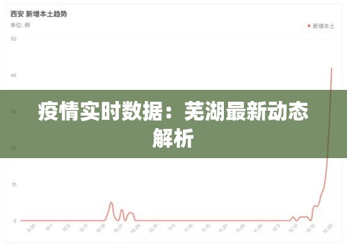 疫情实时数据：芜湖最新动态解析