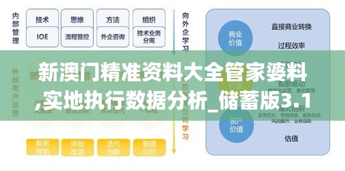 新澳门精准资料大全管家婆料,实地执行数据分析_储蓄版3.112