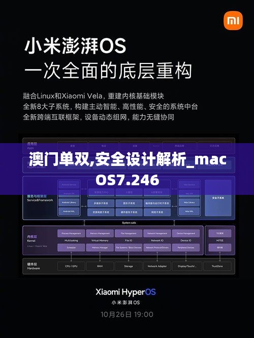 澳门单双,安全设计解析_macOS7.246