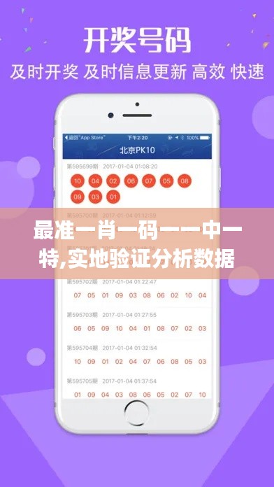 最准一肖一码一一中一特,实地验证分析数据_苹果6.254