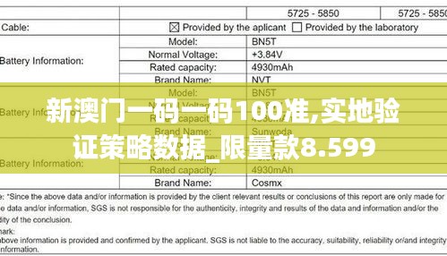 新澳门一码一码100准,实地验证策略数据_限量款8.599