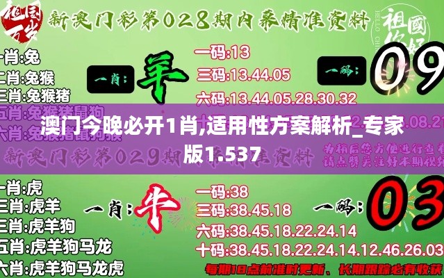 澳门今晚必开1肖,适用性方案解析_专家版1.537