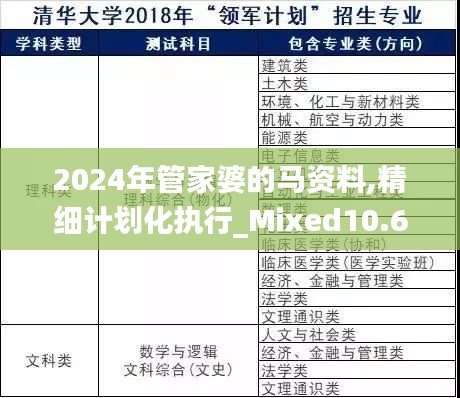 2024年管家婆的马资料,精细计划化执行_Mixed10.638