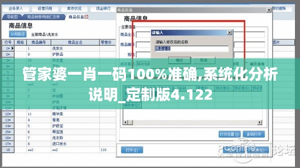 管家婆一肖一码100%准确,系统化分析说明_定制版4.122