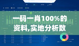 一码一肖100%的资料,实地分析数据应用_VR版10.117