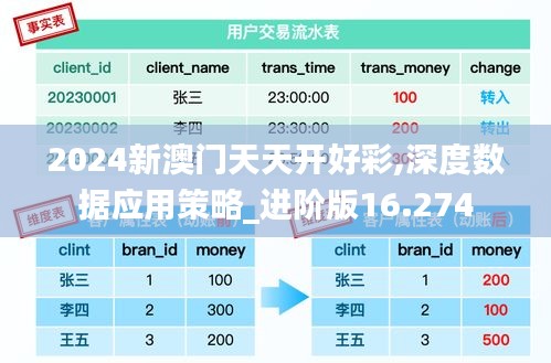 2024新澳门天天开好彩,深度数据应用策略_进阶版16.274