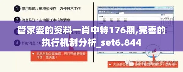 管家婆的资料一肖中特176期,完善的执行机制分析_set6.844