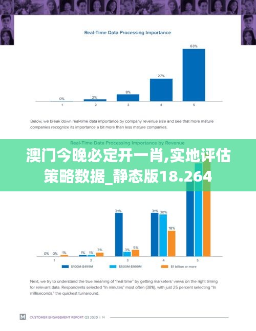 澳门今晚必定开一肖,实地评估策略数据_静态版18.264