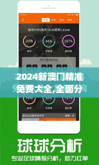 2024新澳门精准免费大全,全面分析数据执行_豪华版10.344