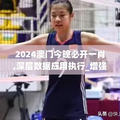 2024澳门今晚必开一肖,深层数据应用执行_增强版16.260