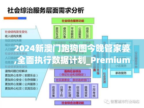 2024新澳门跑狗图今晚管家婆,全面执行数据计划_Premium9.629