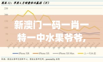 新澳门一码一肖一特一中水果爷爷,深层数据执行策略_微型版10.813