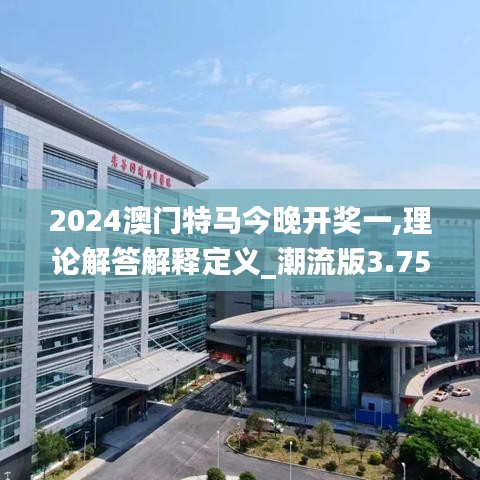 2024澳门特马今晚开奖一,理论解答解释定义_潮流版3.758