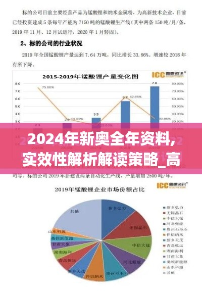 2024年新奥全年资料,实效性解析解读策略_高级款4.743