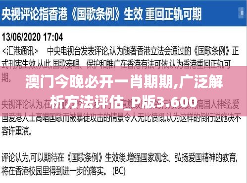 澳门今晚必开一肖期期,广泛解析方法评估_P版3.600