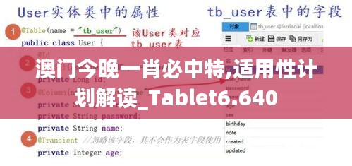 澳门今晚一肖必中特,适用性计划解读_Tablet6.640