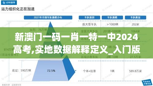 新澳门一码一肖一特一中2024高考,实地数据解释定义_入门版1.603