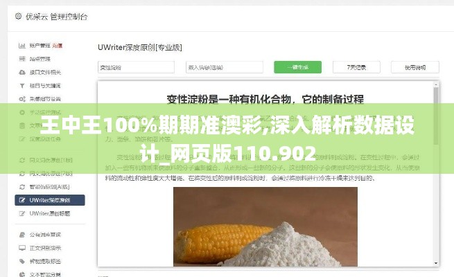 王中王100%期期准澳彩,深入解析数据设计_网页版110.902