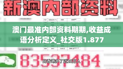 澳门最准内部资料期期,收益成语分析定义_社交版1.877