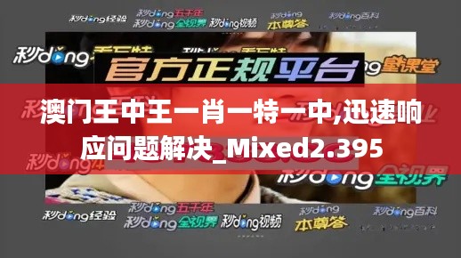 澳门王中王一肖一特一中,迅速响应问题解决_Mixed2.395