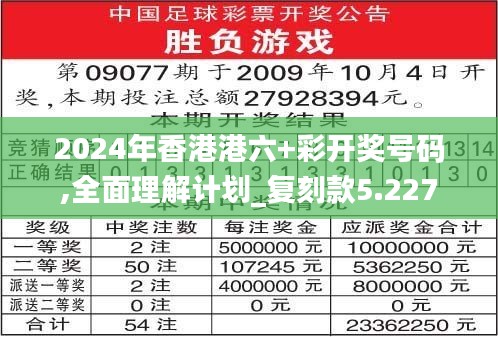 2024年香港港六+彩开奖号码,全面理解计划_复刻款5.227