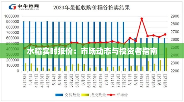 水稻实时报价：市场动态与投资者指南