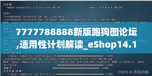 7777788888新版跑狗图论坛,适用性计划解读_eShop14.194