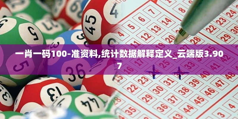 一肖一码100-准资料,统计数据解释定义_云端版3.907