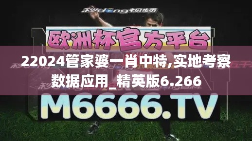 22024管家婆一肖中特,实地考察数据应用_精英版6.266