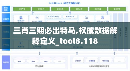 三肖三期必出特马,权威数据解释定义_tool8.118