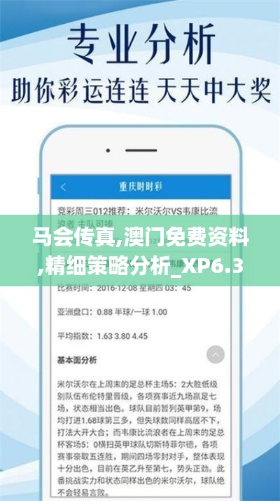 马会传真,澳门免费资料,精细策略分析_XP6.305