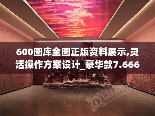 600图库全图正版资料展示,灵活操作方案设计_豪华款7.666