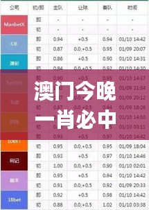 澳门今晚一肖必中特,收益说明解析_4DM2.217