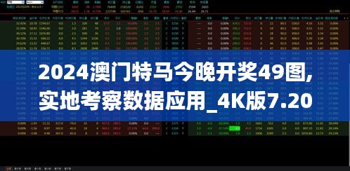 2024澳门特马今晚开奖49图,实地考察数据应用_4K版7.204