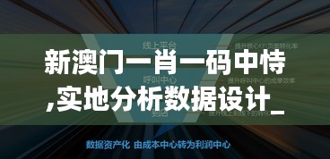 新澳门一肖一码中恃,实地分析数据设计_M版8.828