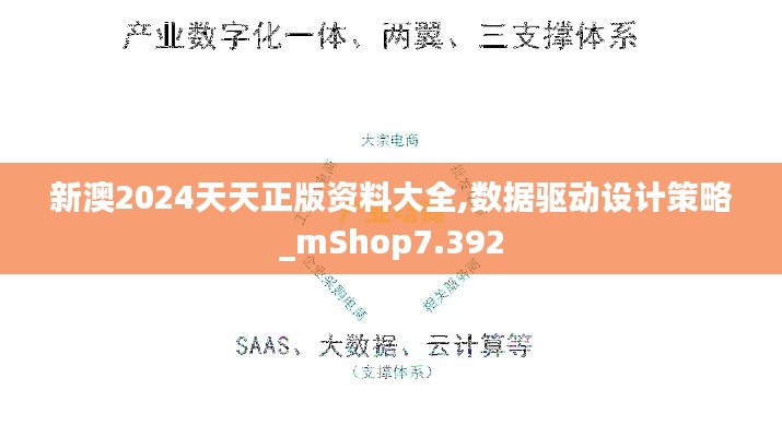 新澳2024天天正版资料大全,数据驱动设计策略_mShop7.392