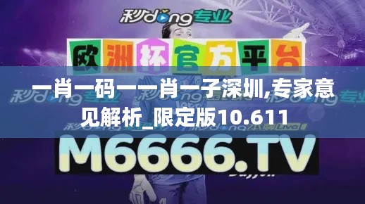 一肖一码一一肖一子深圳,专家意见解析_限定版10.611