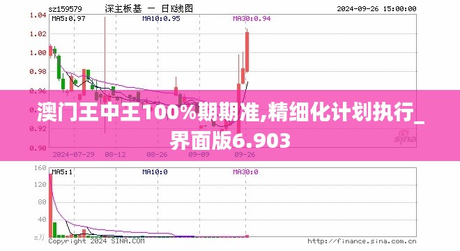 澳门王中王100%期期准,精细化计划执行_界面版6.903