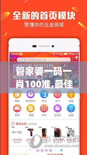 管家婆一码一肖100准,最佳精选解释定义_特供版7.260