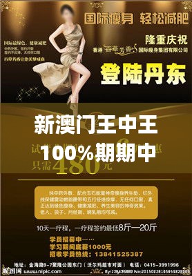 新澳门王中王100%期期中,综合解答解释定义_网页版1.126