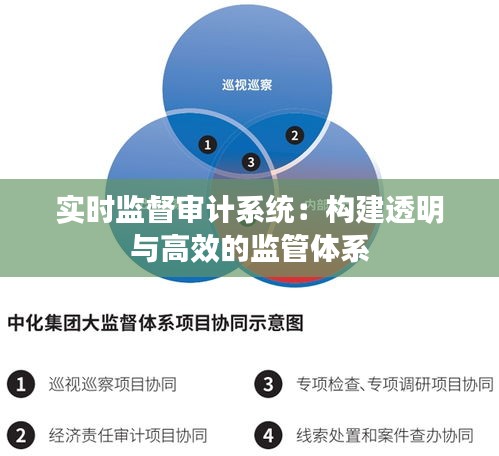 实时监督审计系统：构建透明与高效的监管体系