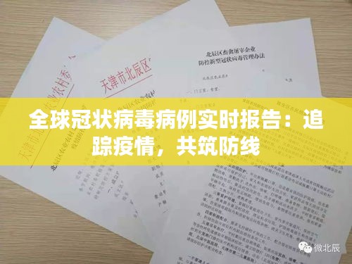 全球冠状病毒病例实时报告：追踪疫情，共筑防线