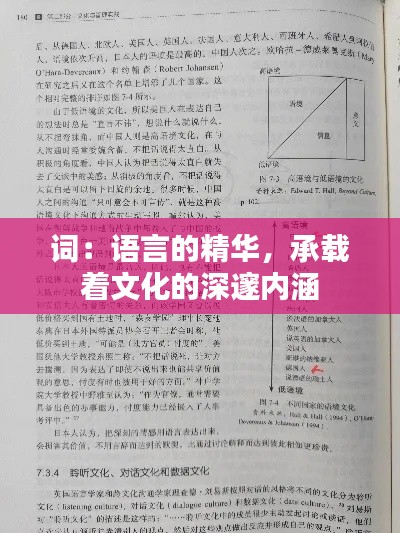 词：语言的精华，承载着文化的深邃内涵