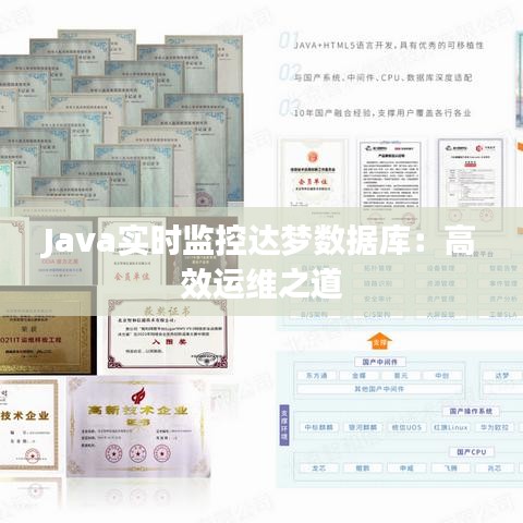 Java实时监控达梦数据库：高效运维之道