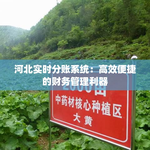 河北实时分账系统：高效便捷的财务管理利器