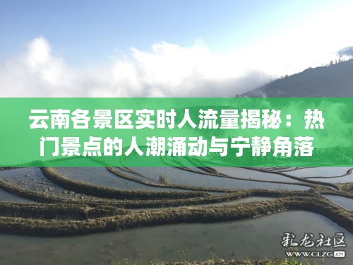 云南各景区实时人流量揭秘：热门景点的人潮涌动与宁静角落的悠闲时光