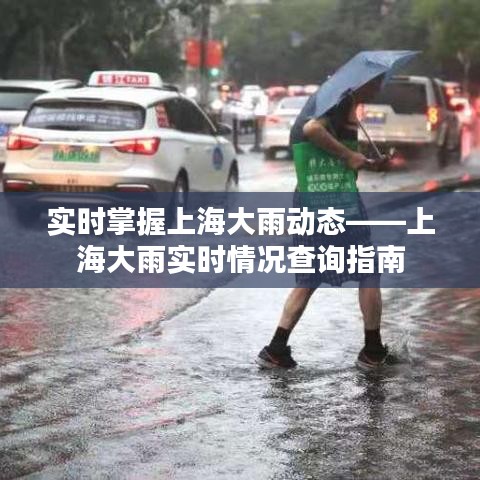 实时掌握上海大雨动态——上海大雨实时情况查询指南