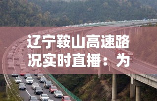 辽宁鞍山高速路况实时直播：为您保驾护航的“千里眼”