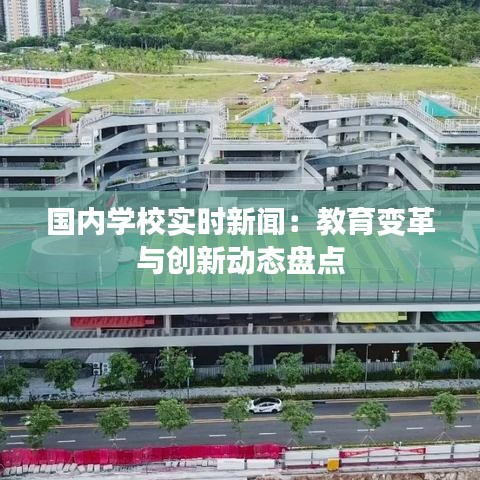 国内学校实时新闻：教育变革与创新动态盘点